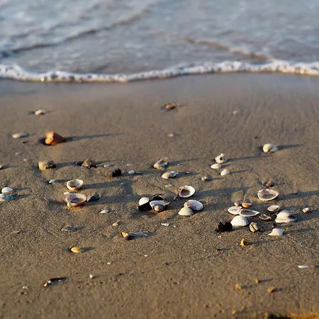 Charming Coastal In 아파트