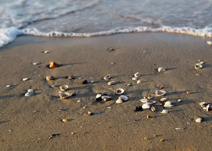 Charming Coastal In 아파트